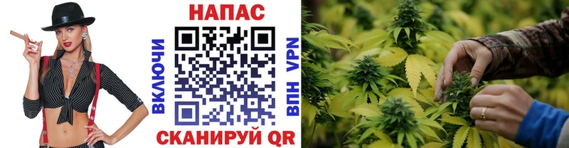 Купить наркотик аптеки Бердск Alpha-PVP  ГАШИШ  Бошки Шишки  гидра зеркало  Cocaine 