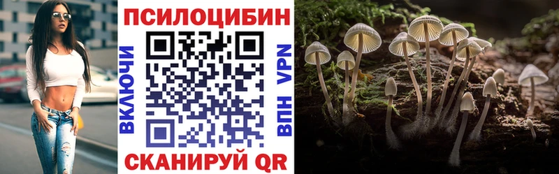 Псилоцибиновые грибы прущие грибы  мега зеркало  Бердск 