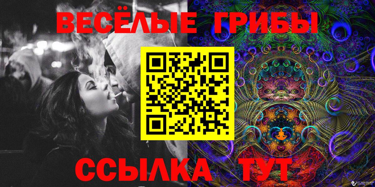Галлюциногенные грибы Cubensis Бердск